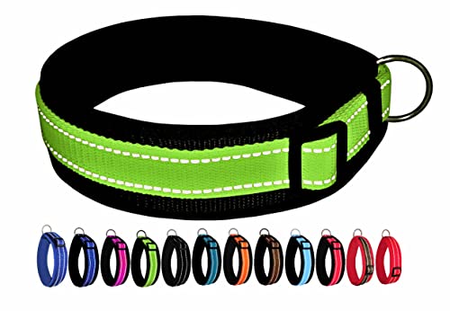 BUDDYPACK | Extra-Breites Hundehalsband mit Reflektorstreifen | Weiches Neopren-Polster | Größe XXS-3XL Verstellbar (S/M (41-46 cm), Limone auf Schwarz) von Buddypack