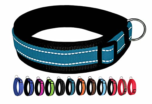 BUDDYPACK | Extra-Breites Hundehalsband mit Reflektorstreifen | Weiches Neopren-Polster | Größe XXS-3XL Verstellbar (S/M (41-46 cm), Petrol auf Schwarz) von Buddypack