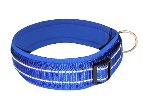 BUDDYPACK | Extra-Breites Hundehalsband mit Reflektorstreifen | Weiches Neopren-Polster | Größe XXS-3XL Verstellbar (S (38-43 cm), Blau auf Blau) von Buddypack
