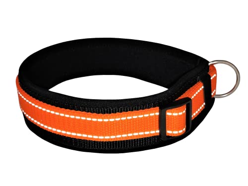 BUDDYPACK | Extra-Breites Hundehalsband mit Reflektorstreifen | Weiches Neopren-Polster | Größe XXS-3XL Verstellbar (S (38-43 cm), Orange auf Schwarz) von Buddypack