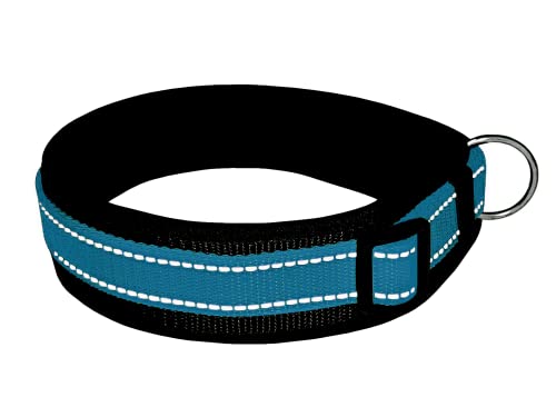 BUDDYPACK | Extra-Breites Hundehalsband mit Reflektorstreifen | Weiches Neopren-Polster | Größe XXS-3XL Verstellbar (S (38-43 cm), Petrol auf Schwarz) von Buddypack