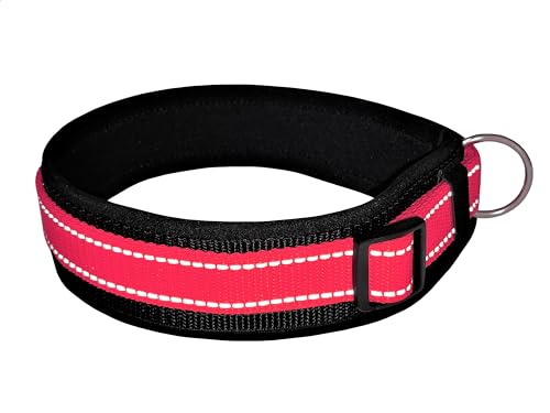 BUDDYPACK | Extra-Breites Hundehalsband mit Reflektorstreifen | Weiches Neopren-Polster | Größe XXS-3XL Verstellbar (S (38-43 cm), Rot auf Schwarz) von Buddypack