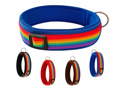 BUDDYPACK | Regenbogen-Hundehalsband Extra-Breit und Weich mit Neopren-Polster | Größe XXS-XL | Verstellbar (S/M (41-46 cm), Regenbogen auf Blau) von Buddypack