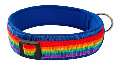 BUDDYPACK | Regenbogen-Hundehalsband Extra-Breit und Weich mit Neopren-Polster | Größe XXS-XL | Verstellbar (S (38-43 cm), Regenbogen auf Blau) von Buddypack