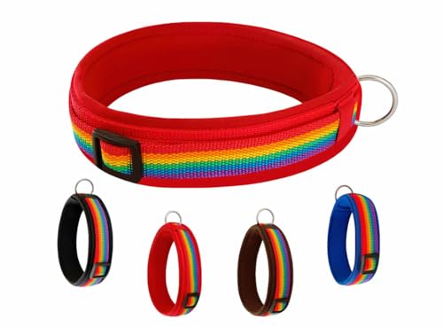 BUDDYPACK | Regenbogen-Hundehalsband Extra-Breit und Weich mit Neopren-Polster | Größe XXS-XL | Verstellbar (XS (32-37 cm), Regenbogen auf Rot) von Buddypack