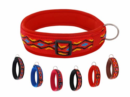 BUDDYPACK | Hundehalsband Extra-Breit und Weich Gepolstert | Für Kleine, Mittlere und Große Hunde | Bunt (Rot-Gelb-Blau-Schwarz, XXS (29-34 cm)) von Buddypack