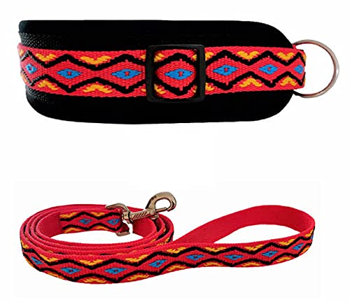 BUDDYPACK | Hundehalsband-Leine-Set | Halsband Extra-Breit Und Weich Gepolstert Plus Leine Mit Handschlaufe 1,50 m | Für Kleine, Mittlere Und Große Hunde | Bunt (Rot-Gelb-Blau-Schwarz, M/L (47-52 cm)) von Buddypack