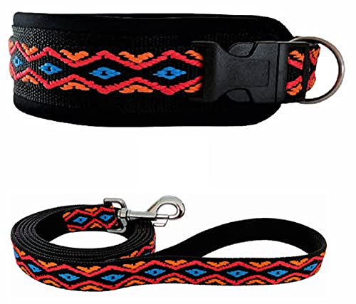 BUDDYPACK | Hundehalsband-Leine-Set | Halsband Extra-Breit Und Weich Gepolstert Plus Leine Mit Handschlaufe 1,50 m | Für Kleine, Mittlere Und Große Hunde | Bunt (Schwarz-Orange-Rot-Blau, S (38-43 cm)) von Buddypack