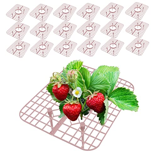 20 Stcs Erdbeer -Pflanzen -Unterstützung Erdbeeranbaugestelle/Rahmen, Gartenpflanzen -Gitter mit 4 Beinen Stehen für Garten von Budstfee