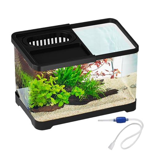 Aquarium Tank, Transparent Aquarium Starter Set, Kleines Betta-Fischbecken Für Wohnzimmer, Büro Dekoration,30x19x18cm Aquarium Tank, Transparent Aquarium Starter Set, Kleines Betta-Fischbecken Für Wohnzimmer, Büro Dekoration,30x19x18cm von Buerfu