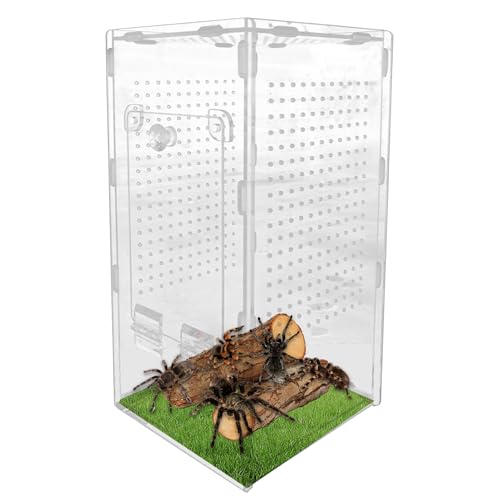 Reptilien Terrarium Box,Transparente Acryl Terrarium, Reptil Fütterungsbox, Insekten Futterbox, Reptilien Aufzuchtbox Für Spinnen, Skorpion, Käfer, Gehörnter f-Rosch von Buerfu