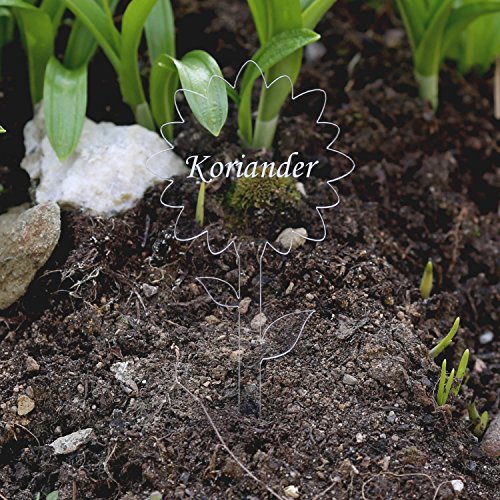 Bütic GmbH Acrylglas Pflanzschilder Blume farblos - Gartenstecker Kräuterschilder Pflanzenstecker - Auswahl + Wunschname, Pflanzenname:Koriander von Bütic GmbH