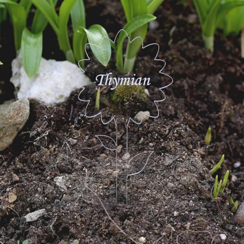 Bütic GmbH Acrylglas Pflanzschilder Blume farblos - Gartenstecker Kräuterschilder Pflanzenstecker - Auswahl + Wunschname, Pflanzenname:Thymian von Bütic GmbH