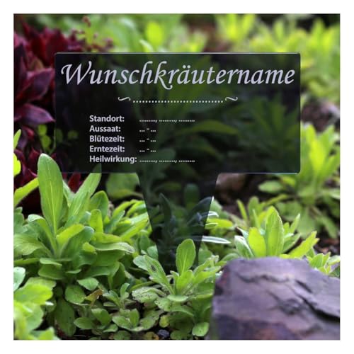 Bütic GmbH Plexiglas® Kräuter Pflanztafel Eckig grau transp. Gartenstecker Kräuterschilder, informativ, wetterfest und elegant, Kräutertafel - Auswahl:Johanniskraut von Bütic GmbH