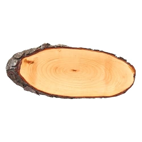 Bütic Holzscheibe Esche oval lackiert B-Ware - Rindenscheibe Baumscheibe Holzbrett, Brettgröße:ca. 45 x 20 cm von Bütic GmbH