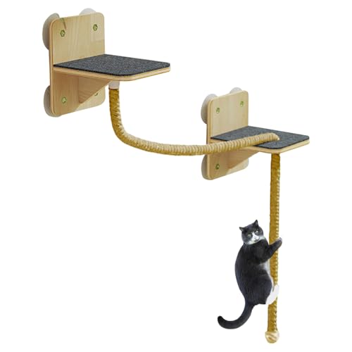 Buhygn Katzen Wandregale - Stabiler Und Sicherer Kletterbaum Möbel Set,Natürliche Kratz- und Ruheflächen mit Treppen für Spiel und Entspannung im Haushalt an Fenstern Türen und von Buhygn