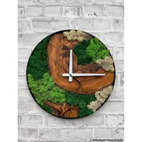 Plant Moss & Olive Wood Clock, Rustic Tree Slice Wall Clock With Live & Metal Frame, Stabilized Decor, Nature Inspired von WoodYouAdore
