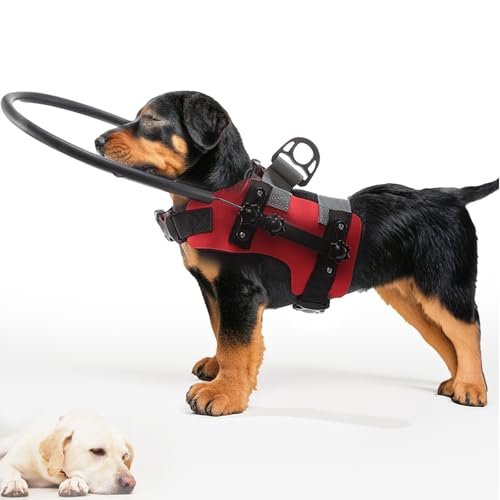 Blinden Hund-Gehring Geschirr – Anti-Kollisionsring für sehbehinderte Hunde | Höhenverstellbar & atmungsaktives Polyester | 2 Größen (S/M) | Stahlring mit Schaumstoffpolster | Für mehr Sicherheit von Buithafu