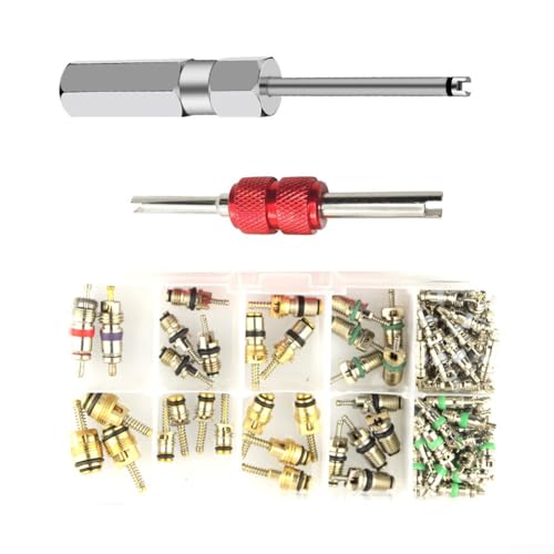 Auto-Klimaanlagen-Ventilkern-Reparatur-Set, 102-teilig, für Reifenventil-Wartung mit 100 Ventilkernen und 2 Entferner-Installateur-Werkzeugen, kompatibel mit verschiedenen Fahrzeugen Auto-Klimaanlagen-Ventilkern-Reparatur-Set, 102-teilig, für Reifenventil-Wartung mit 100 Ventilkernen und 2 Entferner-Installateur-Werkzeugen, kompatibel mit verschiedenen Fahrzeugen von Bulevisiter