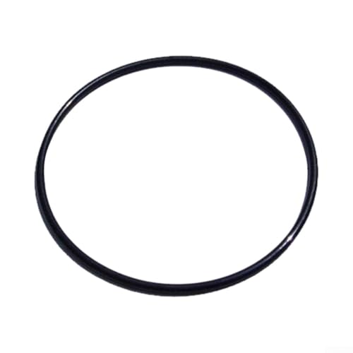 Bulevisiter Pool-Filterpumpe, O-Ring-Dichtung, Ersatzteil, für Intex SPS25 SPS50 SPS75 SPS100 Serie Sandfilter, Vorfilterabdeckung schwarz (1 Stück) von Bulevisiter