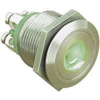 Bulgin MPI001/TERM/GN MPI001/TERM/GN Vandalismusgeschützter Drucktaster 24 V/DC 0.05A 1 x Aus/(Ein) von Bulgin