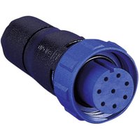 Bulgin PX0410/08S/6065 Rundstecker Stecker, gerade Gesamtpolzahl: 8 Serie (Rundsteckverbinder): PX04 von Bulgin