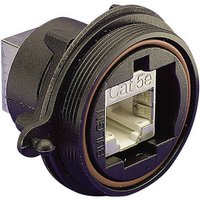 Bulgin PX0833 Sensor-/Aktor-Einbausteckverbinder Buchse, Einbau Polzahl: 8P8C 1St. von Bulgin