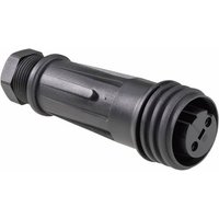 Bulgin PX0921/04/S Rundstecker Buchse, gerade Gesamtpolzahl: 4 Serie (Rundsteckverbinder): PX 1St. von Bulgin