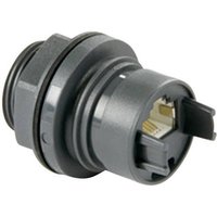 Bulgin PXP6033/TP Sensor-/Aktor-Datensteckverbinder Buchse, Einbau Polzahl: 8P8C 1St. Bulgin PXP6033/TP Sensor-/Aktor-Datensteckverbinder Buchse, Einbau Polzahl: 8P8C 1St. von Bulgin