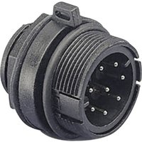 PX0805 Rundstecker Stecker, Einbau Serie (Rundsteckverbinder): PX08 1 St. - Bulgin von Bulgin