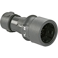 PXP6010/16S/CR/0910 Rundsteckverbinder Kupplung, gerade Gesamtpolzahl: 16 Serie (Rundsteckver - Bulgin PXP6010/16S/CR/0910 Rundsteckverbinder Kupplung, gerade Gesamtpolzahl: 16 Serie (Rundsteckver - Bulgin von Bulgin