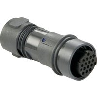 PXP6011/03P/ST Rundstecker Stecker, gerade Gesamtpolzahl: 3 Serie (Rundsteckverbinder): pxp - Bulgin von Bulgin
