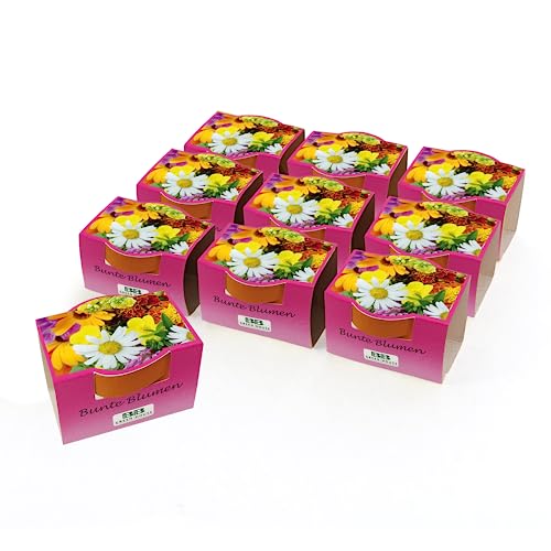 Bull & Bear 10er Set Minipflanzset Bunte Blumen, Blumensamen im Topf 40mm, Mini Blumen als Anzuchtset mit Pflegeanleitung von Bull & Bear