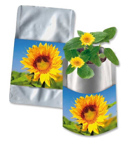 10er Set Plant Bag Zwergsonnenblume von Bull & Bear