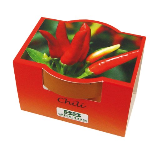 Bull & Bear Mini Pflanzset Chili Samen 10er Set, 10 Tontöpfchen mit Chilisamen, Pflanzsubstrat und Pflegeanleitung von Bull & Bear