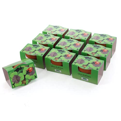 Bull & Bear 10er Set Mini-Pflanzset Glücksklee, 10x Kleezwiebeln im Topf 4,5cm, vierblättrige Kleeblätter als Anzuchtset mit Pflegeanleitung von Bull & Bear