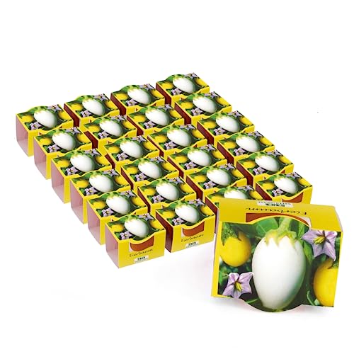Bull & Bear 25er Set Mini Pflanzset Eierbaum, Samen im Topf 4,5cm, Anzuchtset Mit Pflegeanleitung von Bull & Bear
