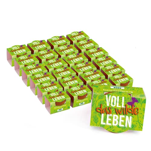 Bull & Bear 25er Set Mini Pflanzset 'Voll das wilde Leben' Kräutermischung im Topf 4,5cm, Kräutersamen als Anzuchtset mit Pflegeanleitung von Bull & Bear