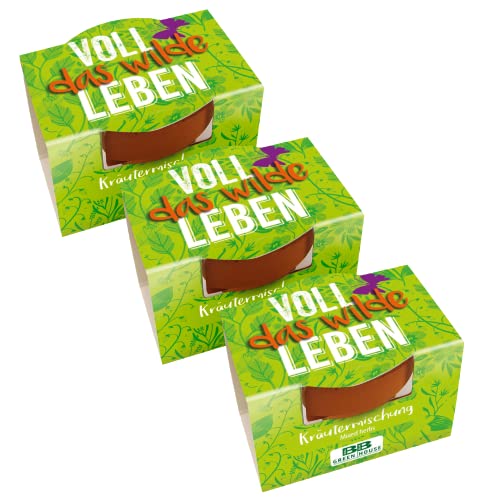 Bull & Bear 3er Set Mini Pflanzset 'Voll das Wilde Leben' Kräutermischung im Topf 4,5cm, Kräutersamen als Anzuchtset mit Pflegeanleitung von Bull & Bear