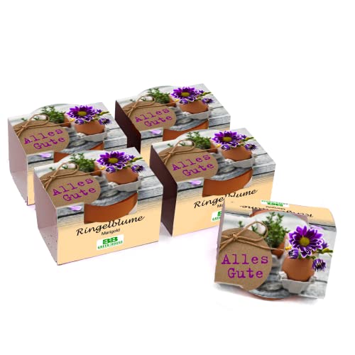 Bull & Bear 5er Set Mini Pflanzset 'Alles Gute' Ringelblume Marigold Blumen Samen, 5 Tontöpfchen mit Blumensamen und Pflanzsubstrat von Bull & Bear