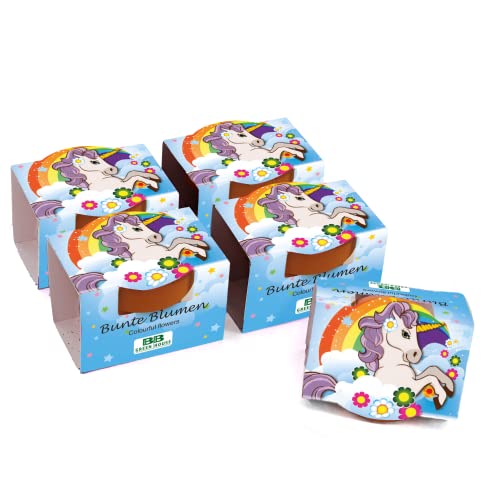 Bull & Bear 5er Set Mini Pflanzset 'Einhorn' mit Blumensamen im Topf 4,5cm, bunte Blumen als Anzuchtset mit Pflegeanleitung von Bull & Bear