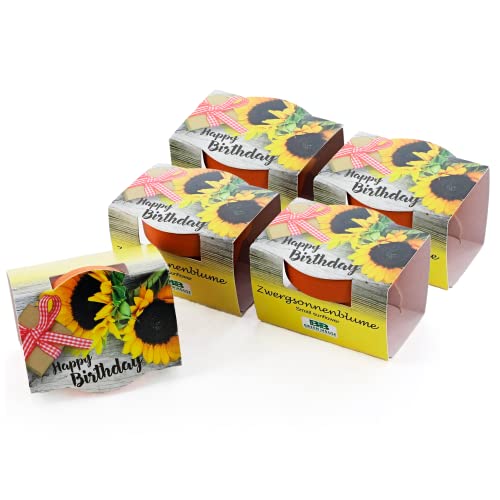 Bull & Bear 5er Set Mini Pflanzset 'Happy Birthday', Blumensamen im Topf 4,5cm, Mini Sonnenblume als Anzuchtset mit Pflegeanleitung von Bull & Bear