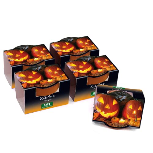 Bull & Bear 5er Set Mini Pflanzset Kürbis, Kürbissamen im Topf 4,5cm, Kürbis Anzuchtset mit Pflegeanleitung Bull & Bear 5er Set Mini Pflanzset Kürbis, Kürbissamen im Topf 4,5cm, Kürbis Anzuchtset mit Pflegeanleitung von Bull & Bear