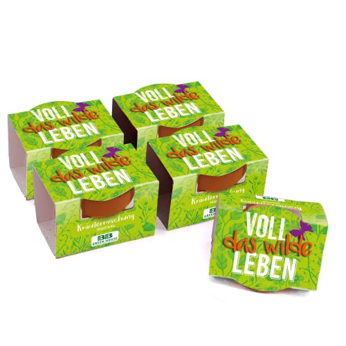 Bull & Bear 5er Set Mini Pflanzset 'Voll das Wilde Leben' Kräutermischung im Topf 4,5cm, Kräutersamen als Anzuchtset mit Pflegeanleitung von Bull & Bear