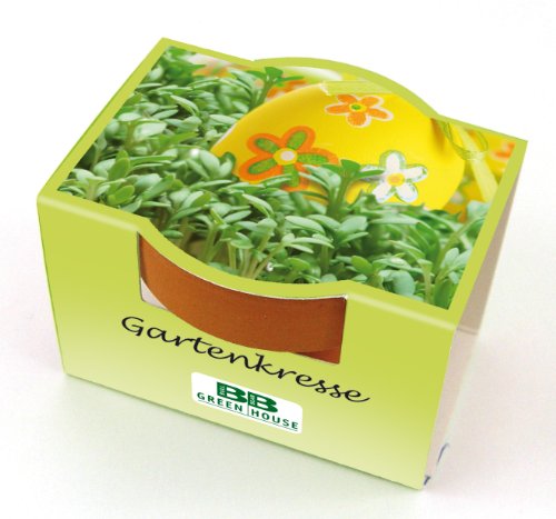 Bull & Bear Mini Pflanzset Gartenkresse Kresse Samen Set mit Tontöpfchen mit Kressesamen und Pflanzsubstrat von Bull & Bear