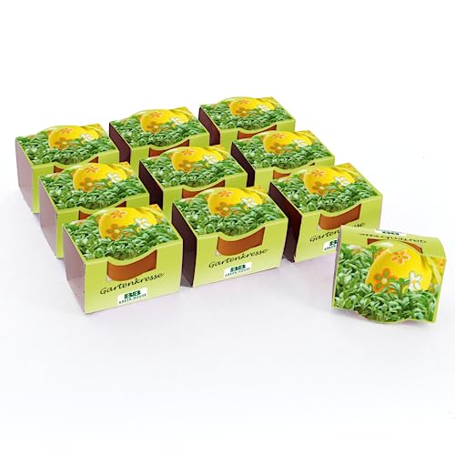 Bull & Bear Mini Pflanzset Gartenkresse Samen 10er Set, 10 Tontöpfchen mit Kressesamen, Pflanzsubstrat und Pflegeanleitung von Bull & Bear
