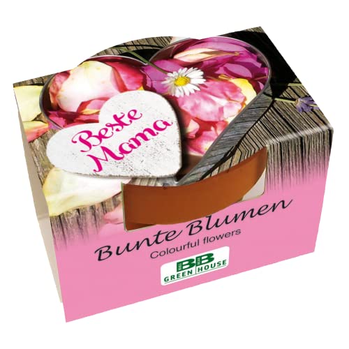 Bull & Bear Mini Pflanzset 'Beste Mama' mit Blumensamen im Topf 4,5cm, Bunte Blumen als Anzuchtset mit Pflegeanleitung von Bull & Bear