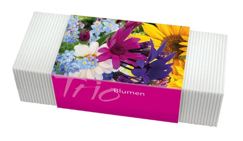 Pflanzset 'Blumen-Trio' von Bull & Bear