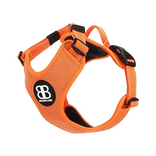 BullyBillows Active Light Hundegeschirr mit Griff | Premium-Geschirr mit gepolstertem Innenfutter & hochreflektierendem Design | Geeignet für alle Hunderassen | Orange |Extra Groß von BullyBillows