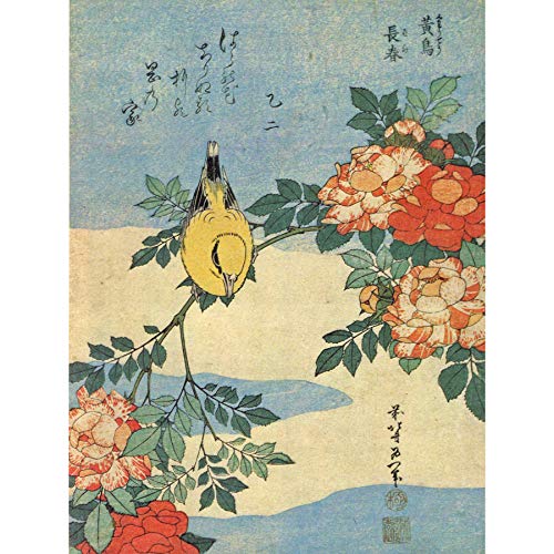 Bumblebeaver Painting Japanese Bird Flowers FLORAL 30X40 CMS FINE Art Print Poster Farbe Vogel Blume Kunstdruck von Wee Blue Coo